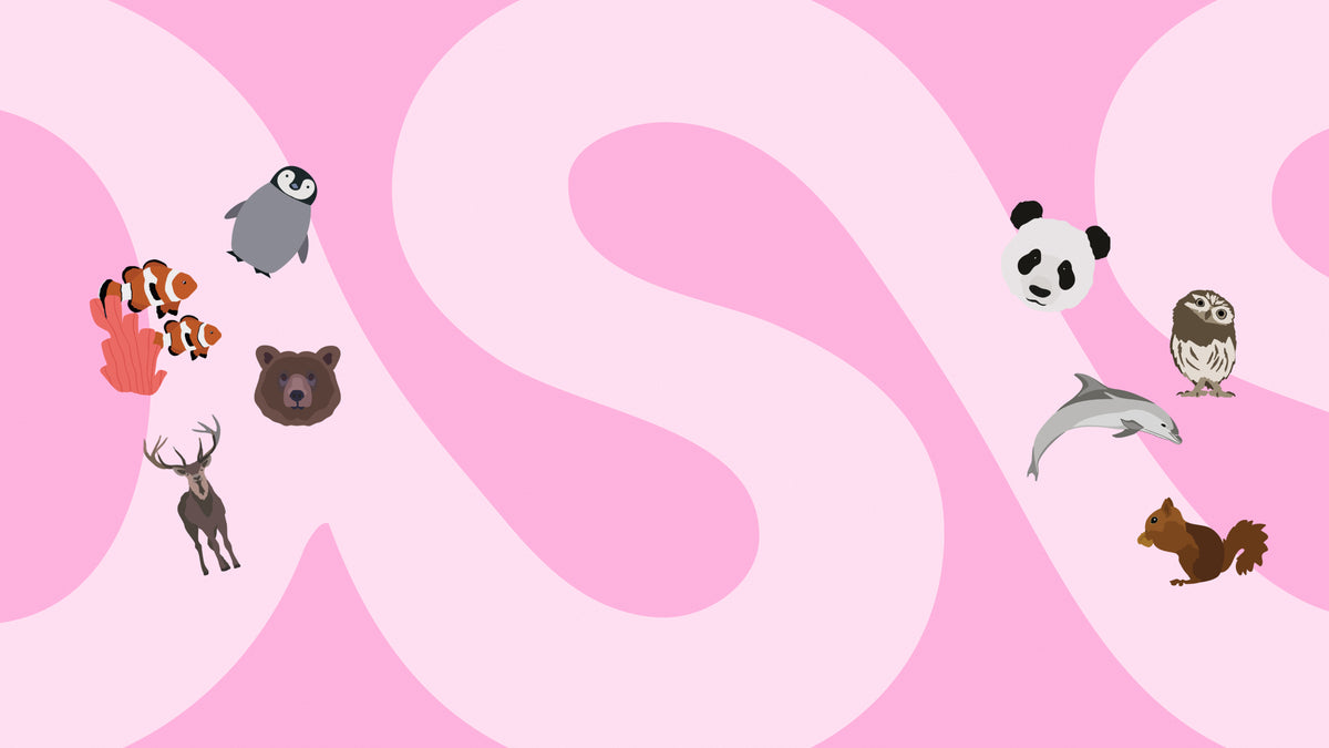 SOSSU ANIMALS